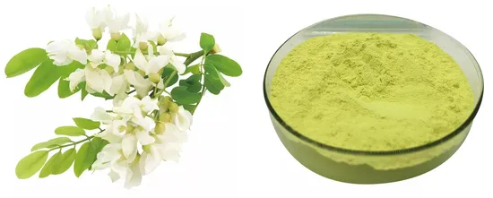  Saúde Rutina 95%UV NF11;  Extrato de rutina de Sophora Japonica